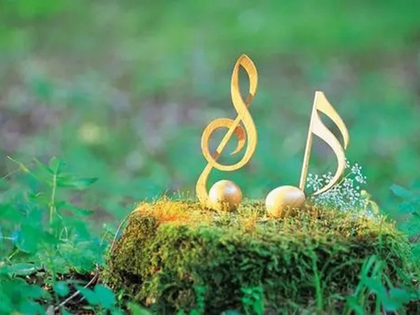 音乐艺术生考试内容